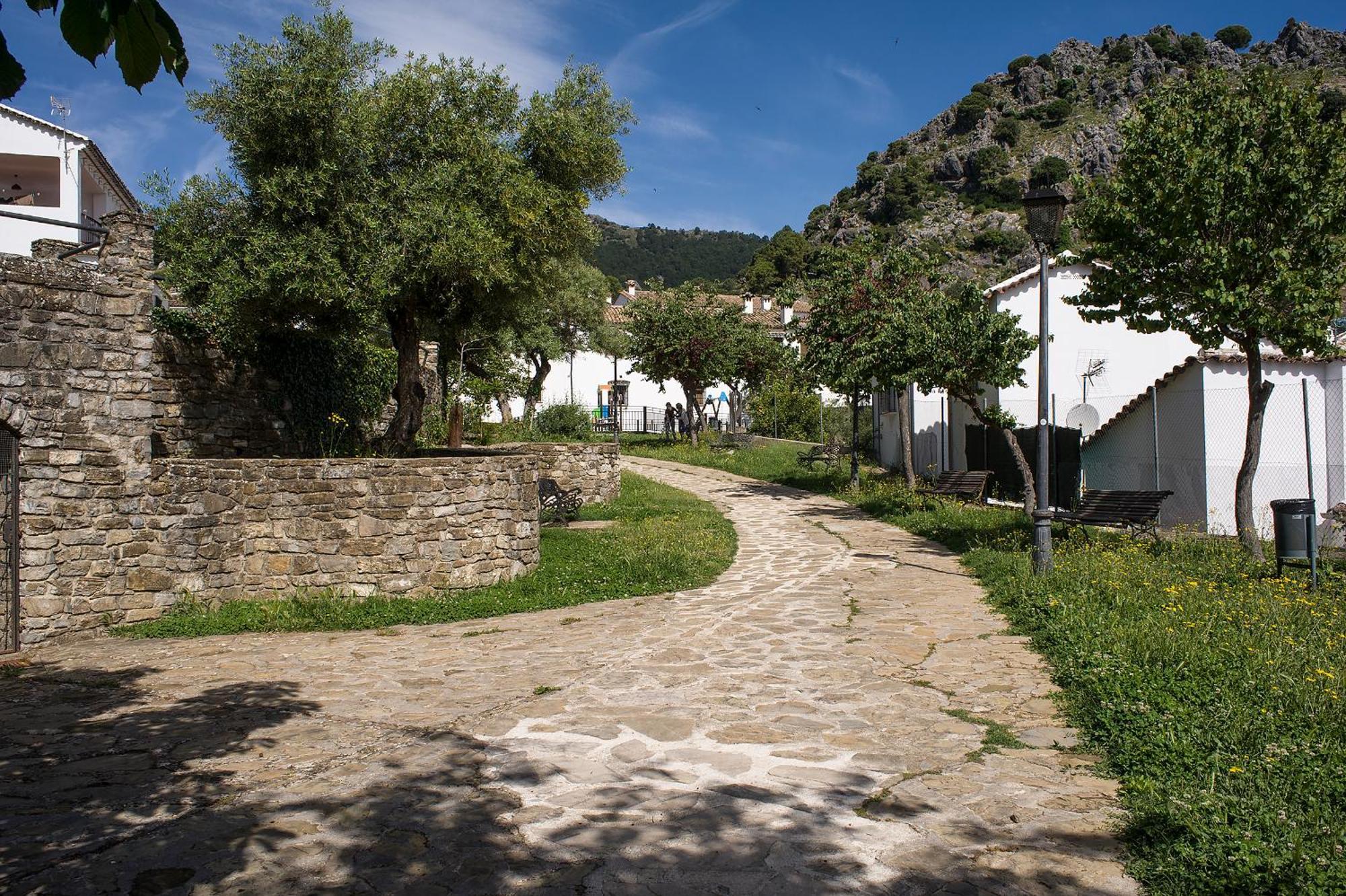 Casa Rural La Callejita Grazalema Bagian luar foto
